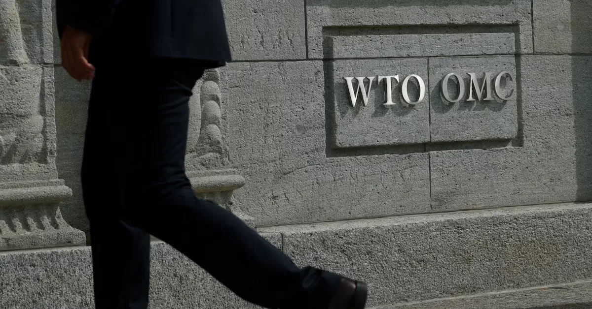 South Africa considers filing WTO complaint against EU CBAM