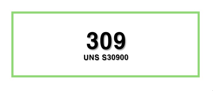 309ㅣUNS S30900