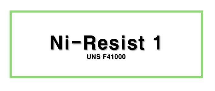 Ni-Resist 1ㅣUNS F41000