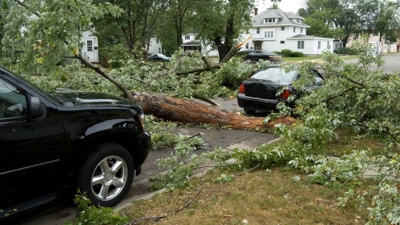 Hurricane-Damaged Vehicles Provide Valuable Resources for Recycling Industry