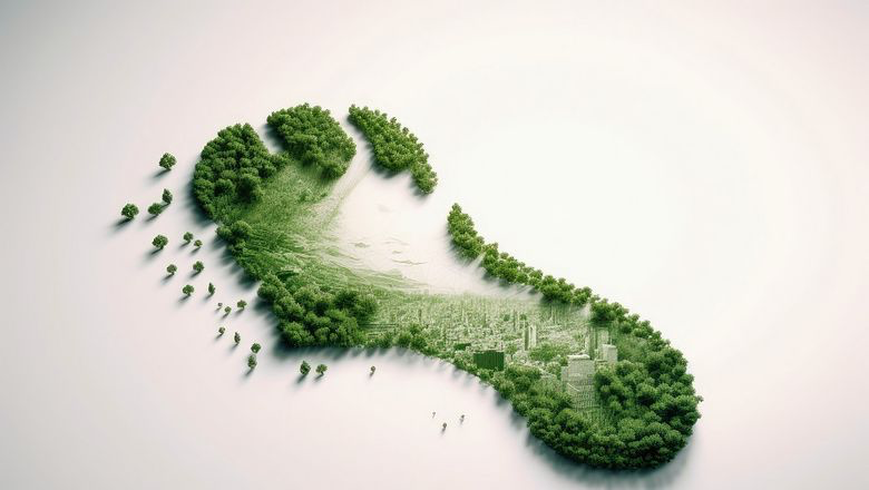 Experts Question the Carbon Footprint Concept After 25 Years: A Shift Needed