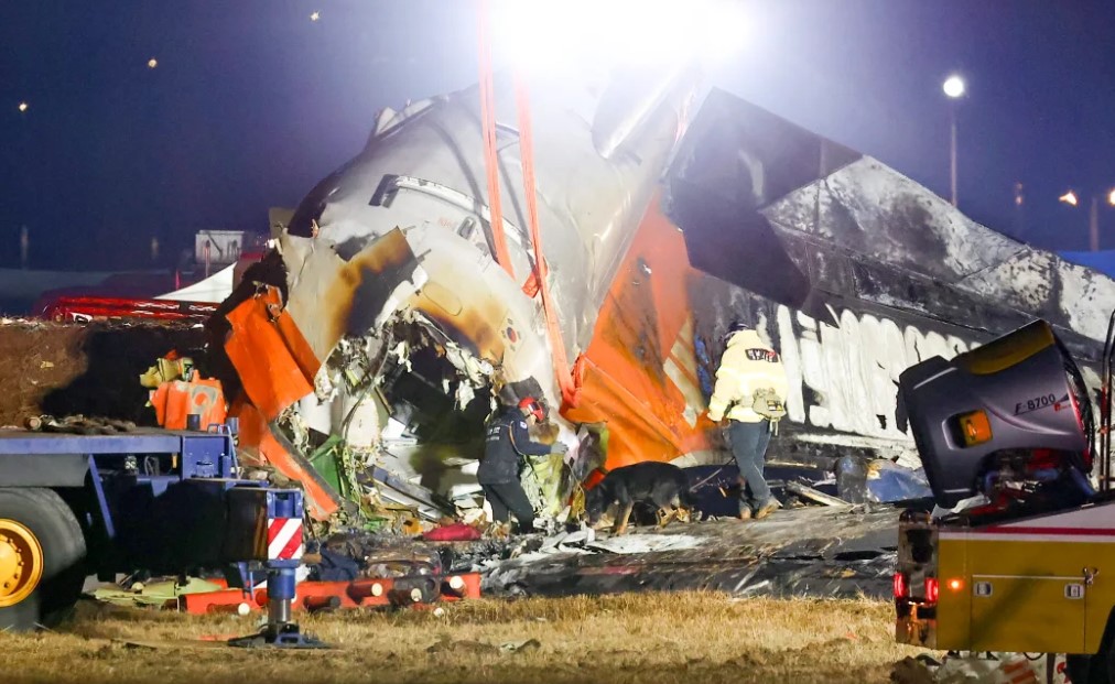 Bird Strike Suspected in Fatal South Korean Plane Crash