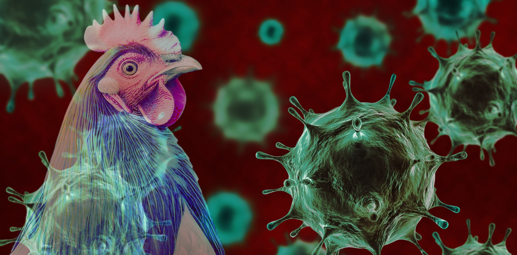 EU Experts Warn of Emerging Avian Flu Mutations That Could Adapt to Humans