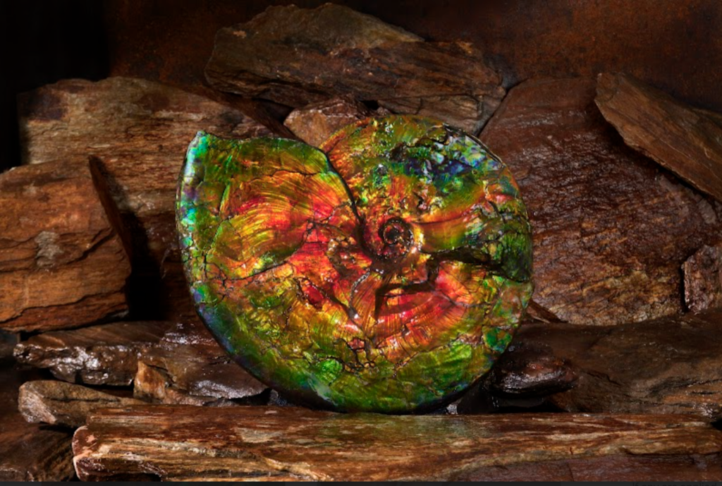 KORITE Acquisition Creates World’s Only Mine-to-Market Ammolite Producer