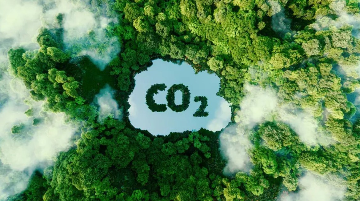 Turkey Approves Carbon Market Launch to Meet 2053 Net-Zero Goal