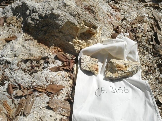 Core Lithium Scraps Ganfeng Lithium Offtake Deal, Shifts to Spot Sales for Finniss Mine