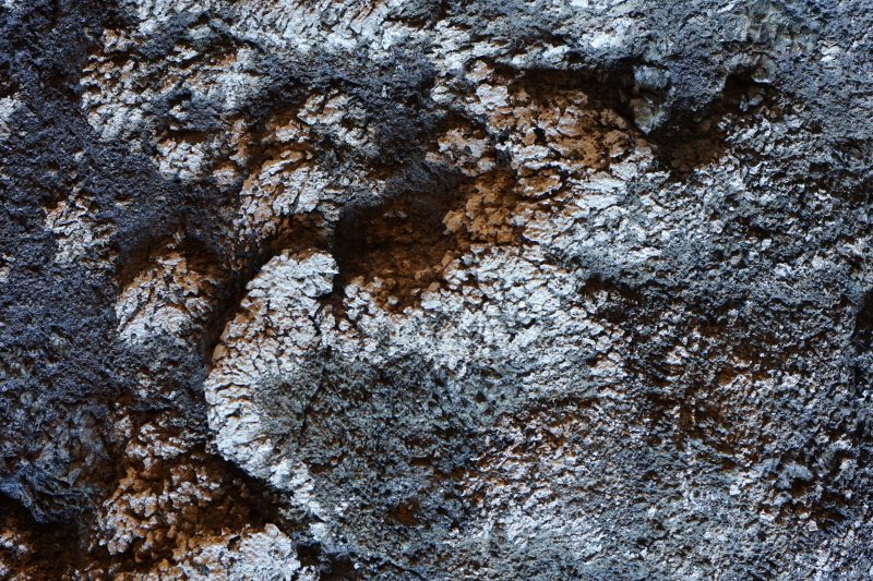 Silver One Advances High-Grade Silver Exploration at Phoenix Silver Project