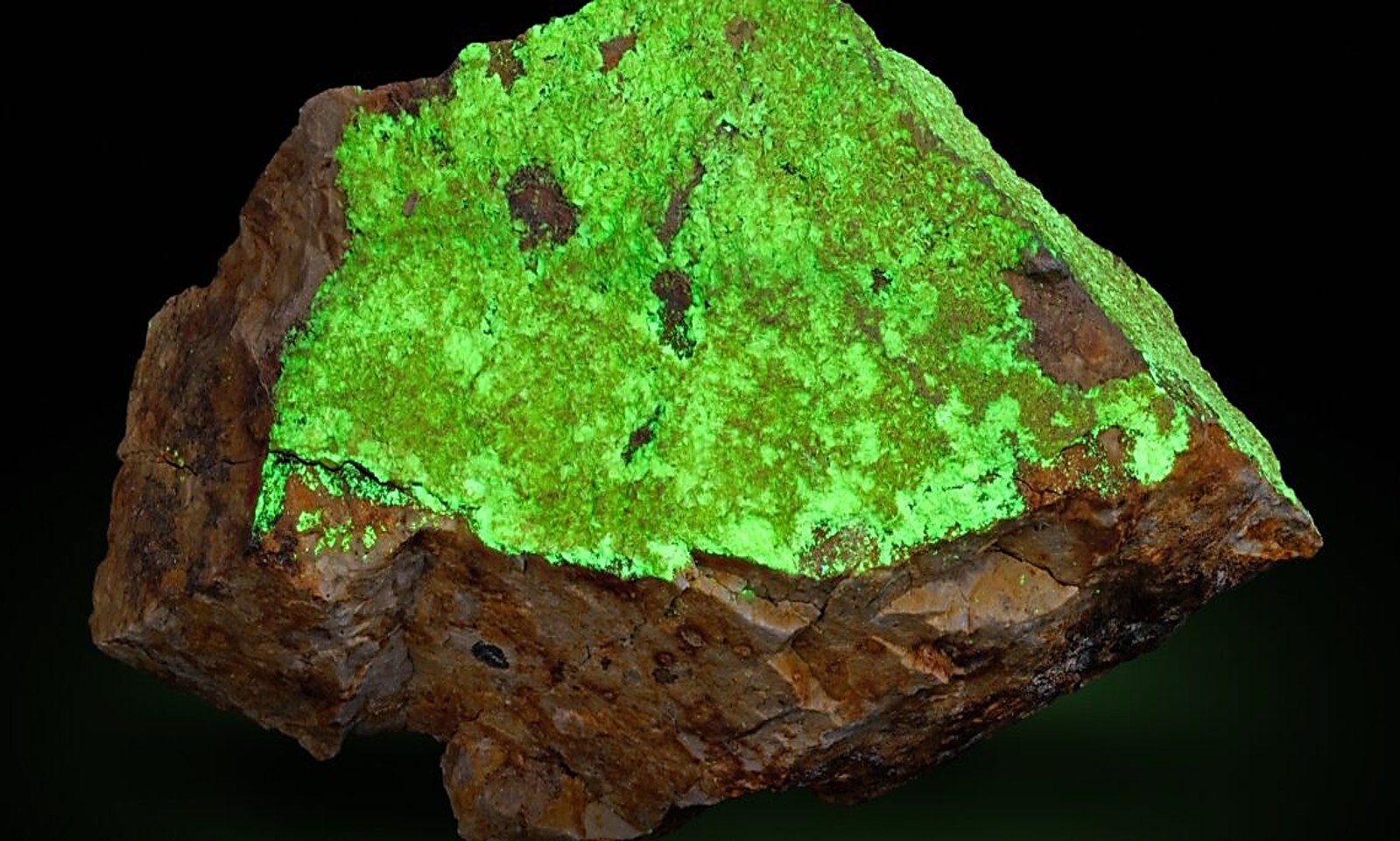 EU Uranium Ban Pressure Strengthens Canadian Supply Outlook