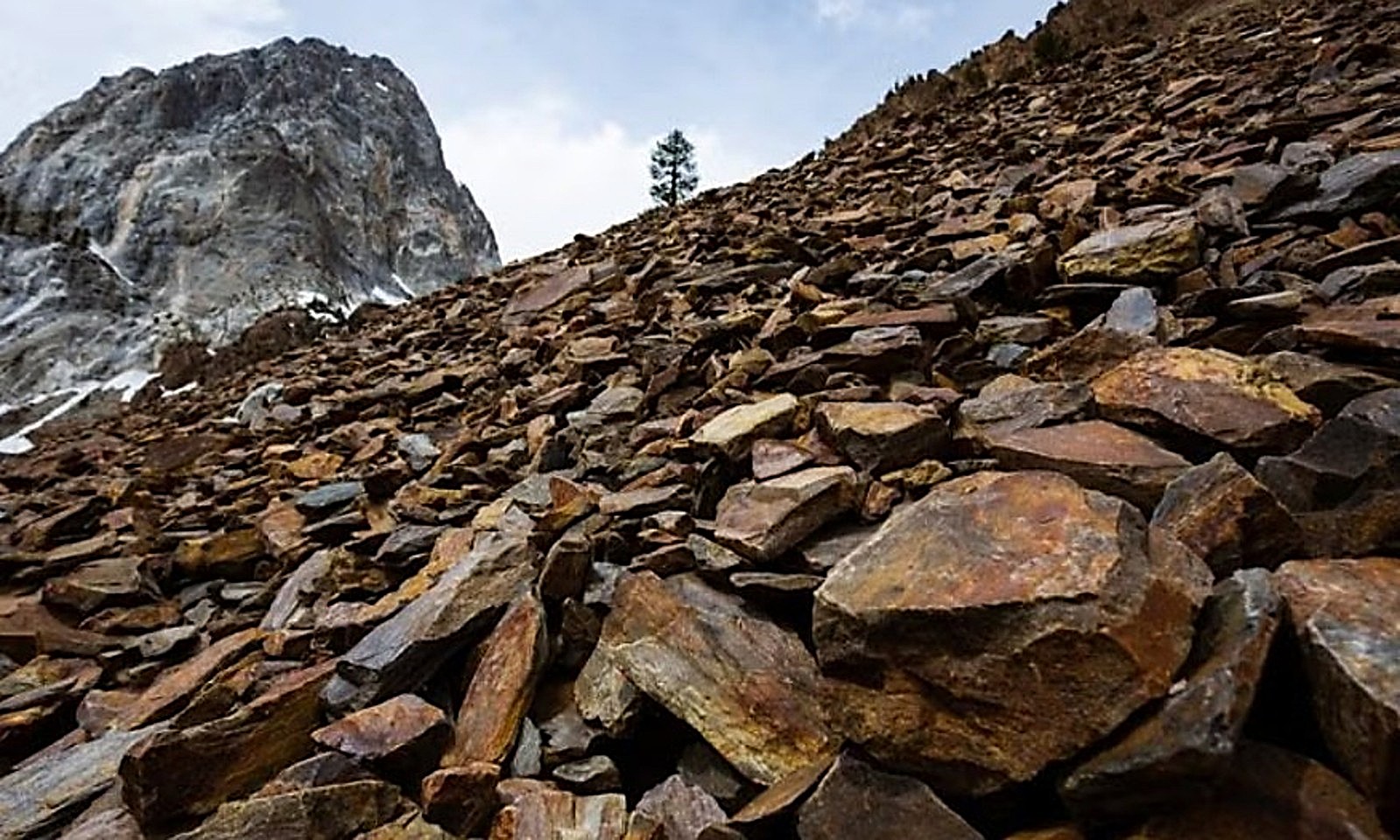 Advancing Domestic Tungsten Production Through Nevada Pilot Program