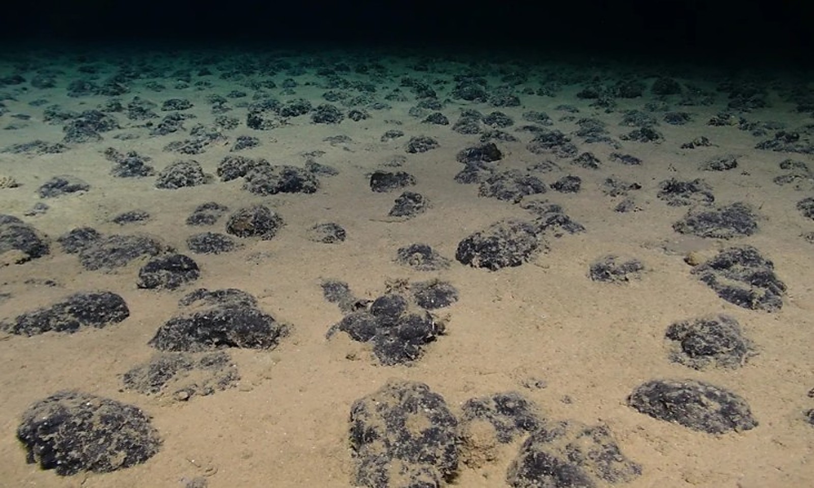 US and Japan Plan Deep-Sea Mining Initiative to Counter China’s Rare Earth Dominance